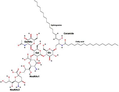 Disialoganglioside GD2 Expression in Solid Tumors and Role as a Target for Cancer Therapy